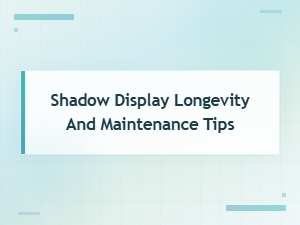 Shadow Display Longevity and Maintenance Tips: a Complete Buying Guide