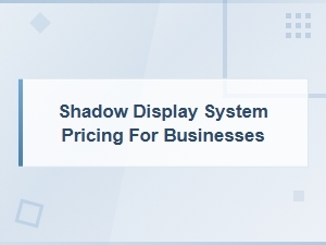 Shadow Display System Pricing for Business Solutions